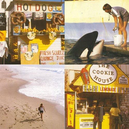 Best Coast- Something in the Way - VINYL