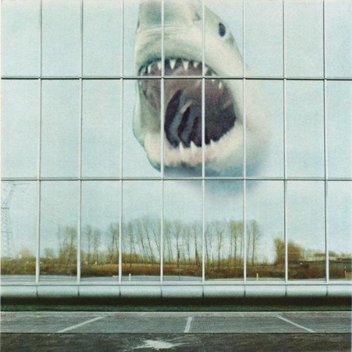 Black Mountain: Wilderness Heart \ CD
