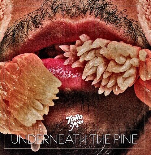 Toro y Moi- Underneath the Pine - VINYL