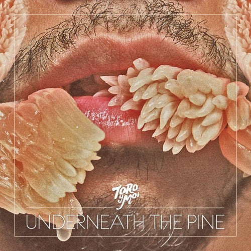 Toro y Moi: Underneath the Pine \ CD