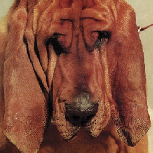Ty Segall: Goodbye Bread \ CD