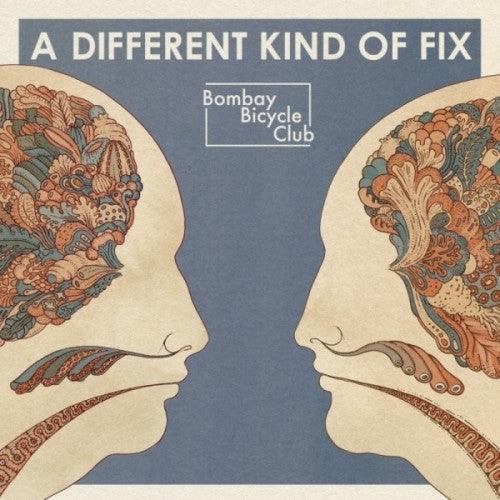 Bombay Bicycle Club- Different Kind of Fix - VINYL
