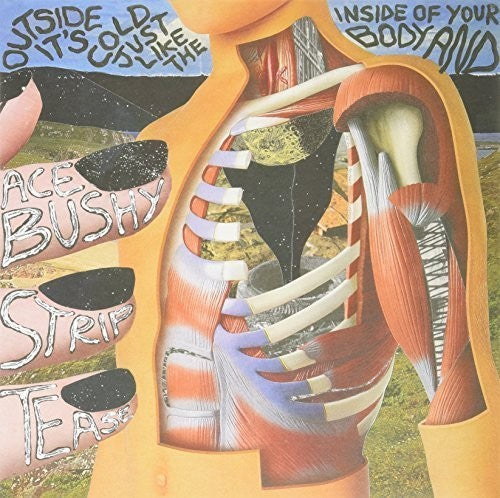 Ace Bushy Striptease: Outside It's Cold Just Like the Inside of Your Bod \ LP