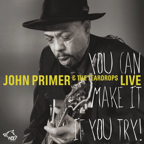 John Primer: You Can Make It If You Try \ CD
