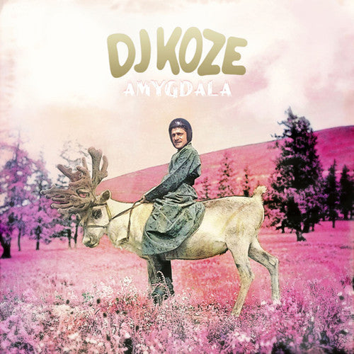 DJ Koze: Amygdala \ LP