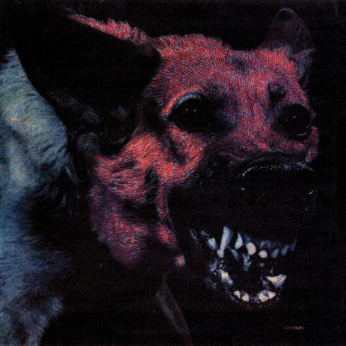 Protomartyr- Under Color of Official Right - VINYL