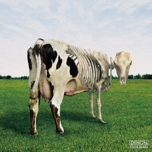 Morgaua Quartet: Atom Heart Mother Is on the Edge \ CD