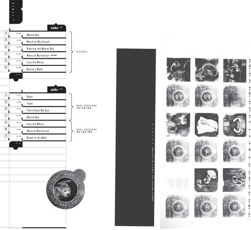 Pixies- Doolittle 25: B-Sides Peel Sessions & Demos - VINYL