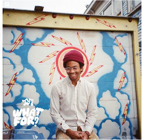 Toro y Moi- What for - VINYL