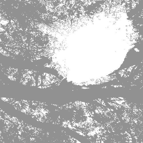 Comets on Fire- Field Recordings from the Sun - VINYL