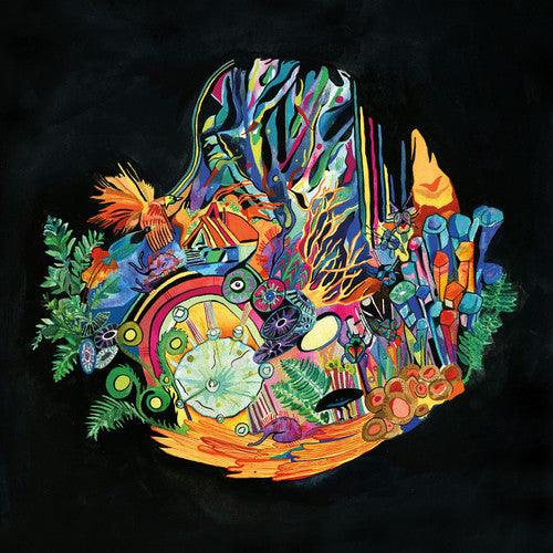 Kaitlyn Aurelia Smith- Ears - VINYL