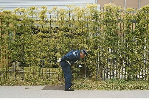 Gold Panda: Good Luck & Do Your Best \ CD