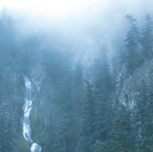 Wolves In The Throne Room- Diadem Of 12 Stars - VINYL