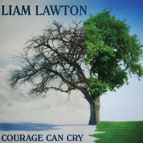 Liam Lawton: Courage Can Cry \ CD