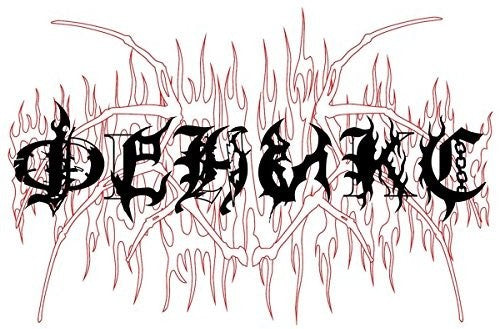 Wwwings: Phoenixxx \ LP