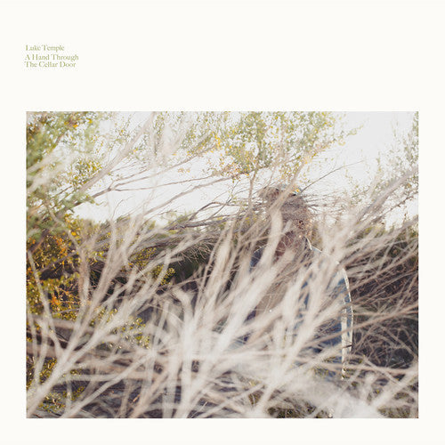 Luke Temple- A Hand Through The Cellar Door - VINYL