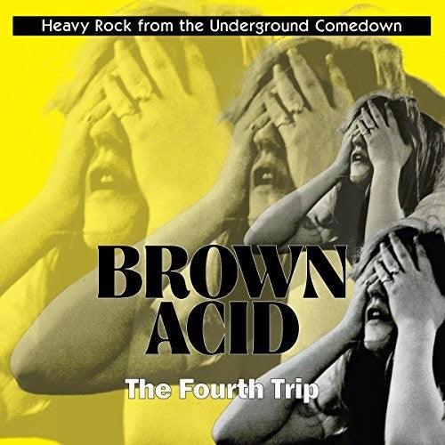 Various Artists- Brown Acid: Fourth Trip (Various Artists) - VINYL