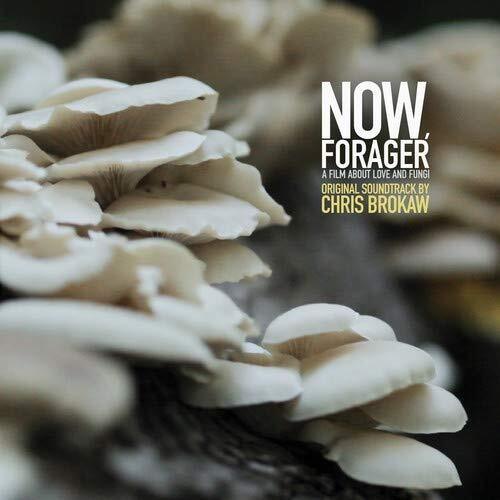 Chris Brokaw- Now Forager (Original Soundtrack) - VINYL