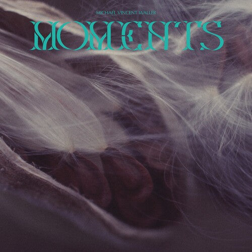 Michael Vincent Waller: Moments \ CD
