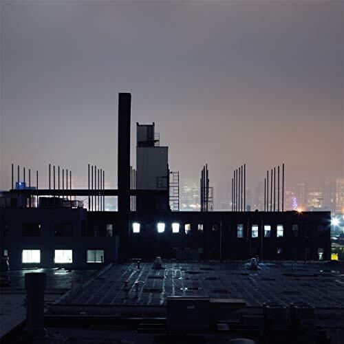 Remo Seeland: Hollow Body \ LP