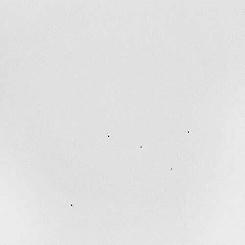 Todd Anderson-Kunert: Conjectures \ LP