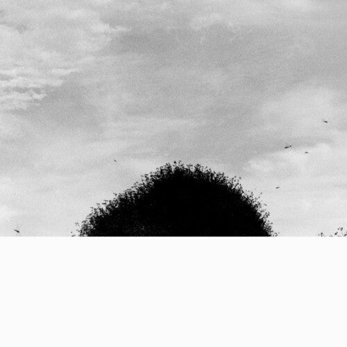 Chihei Hatakeyama: Forgotten Hill \ LP
