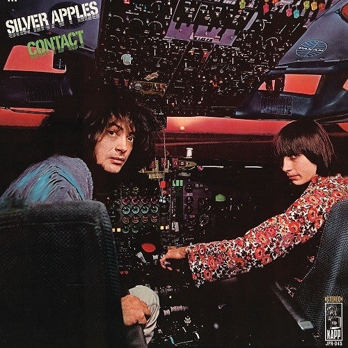 Silver Applies- Contact - VINYL