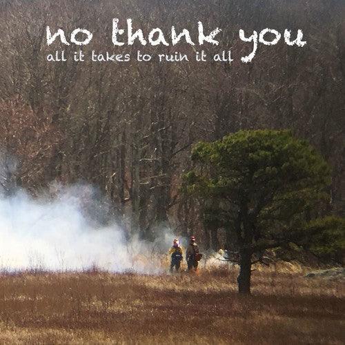 No Thank You- All It Takes To Ruin It All - VINYL