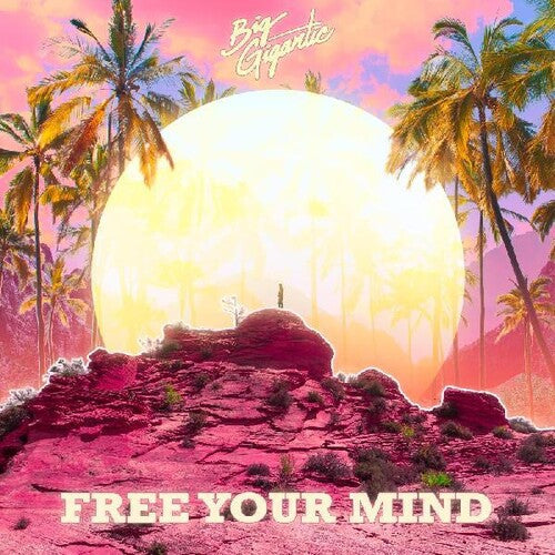 Big Gigantic: Free Your Mind \ CD