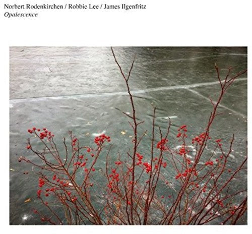 Norbert Rodenkirchen: Opalescence \ LP
