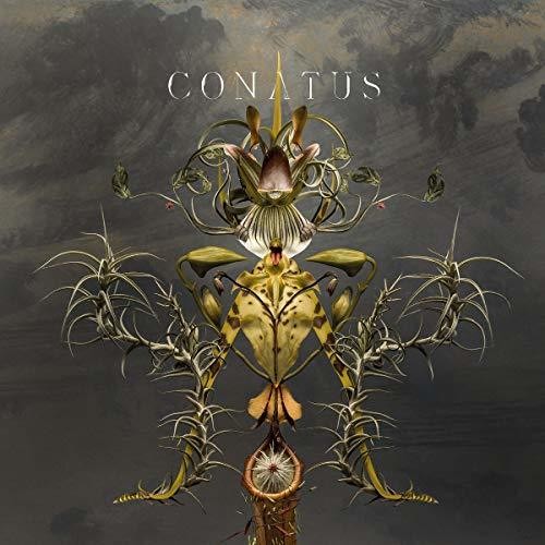 Joep Beving: Conatus \ LP