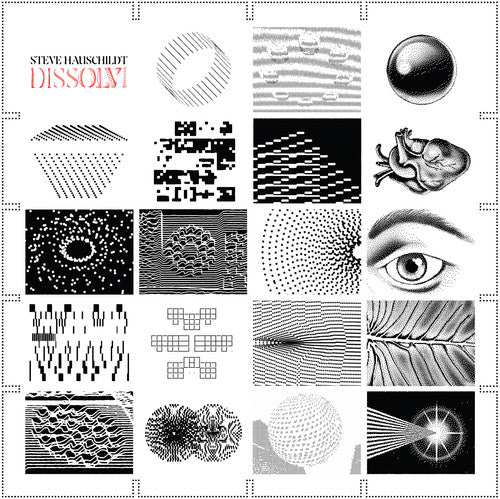 Steve Hauschildt: Dissolvi \ LP