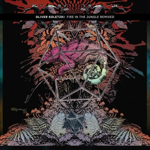 Oliver Koletzki: Fire in the Jungle Remixed \ LP