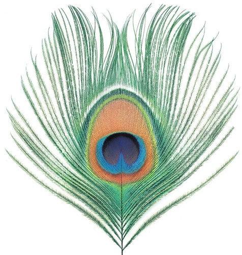 XTC- Apple Venus Vol 1 - VINYL