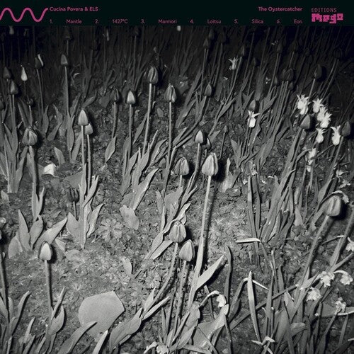 Cucina Povera & Els: The Oystercatcher \ LP