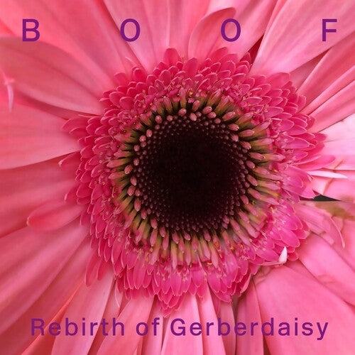 Boof: Rebirth of Gerberdaisy \ LP