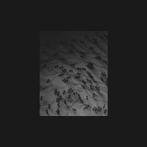 Merzbow: Monoakuma \ CD