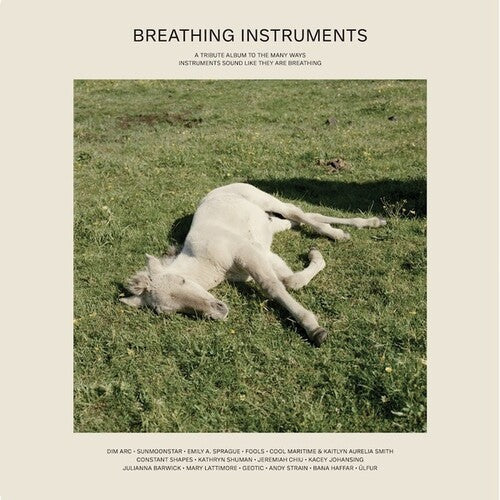 Various Artists: Breathing Instruments (Various Artists) \ LP
