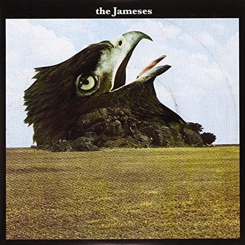 Jameses- Caribou - VINYL
