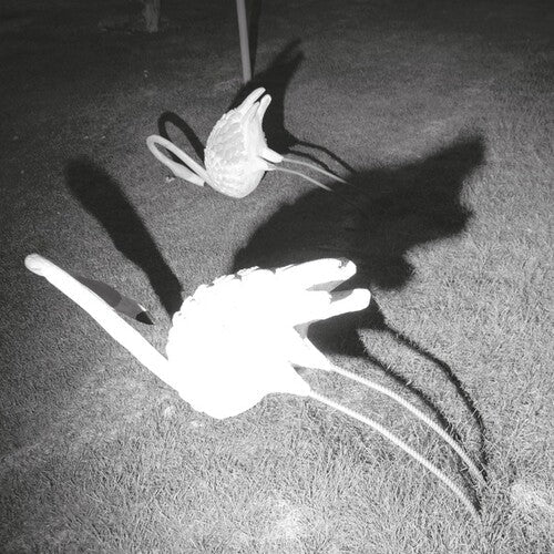 Siavash Amini: A Mimesis of Nothingness \ LP