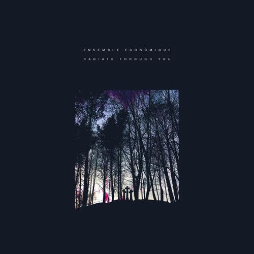 Ensemble Economique: Radiate Through You \ CD