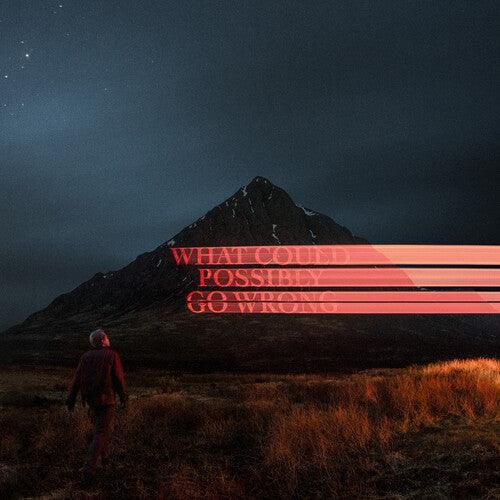 Dominic Fike- What Could Possibly Go Wrong - VINYL