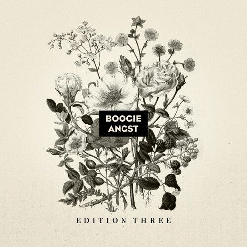 Various Artists: Boogie Angst: Edition Three (Various Artists) \ LP