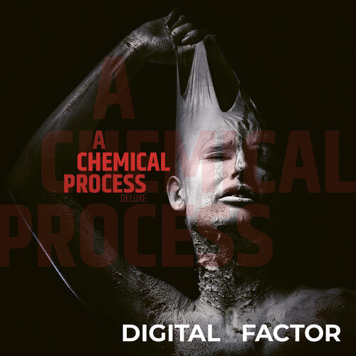 Digital Factor: A Chemical Process \ CD