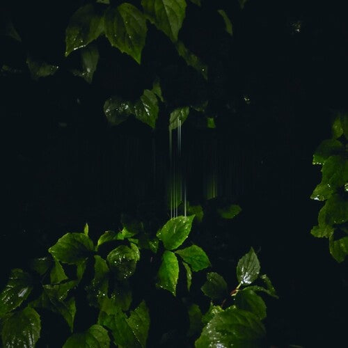 Martina Bertoni: Music For Empty Flats \ LP
