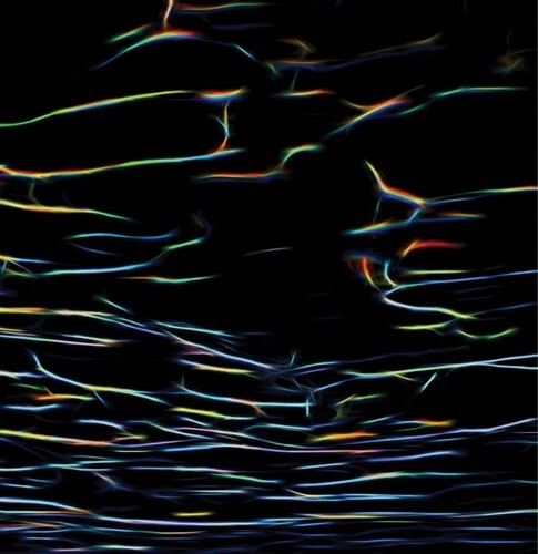 Porter Ricks: Biokinetics \ LP