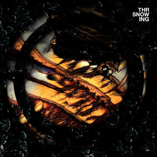 Throwing Snow: Dragons \ LP