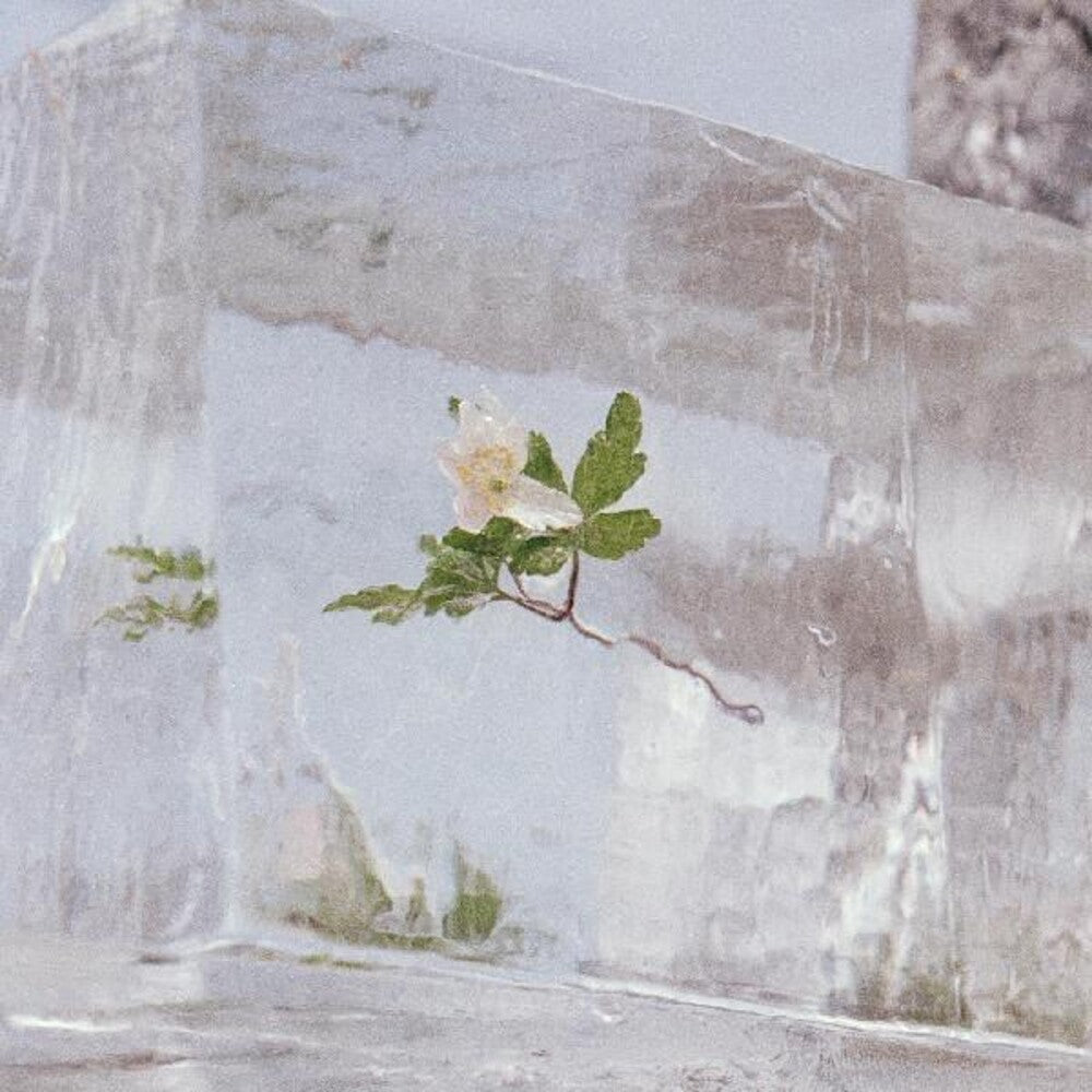 Efterklang- Windflowers - VINYL