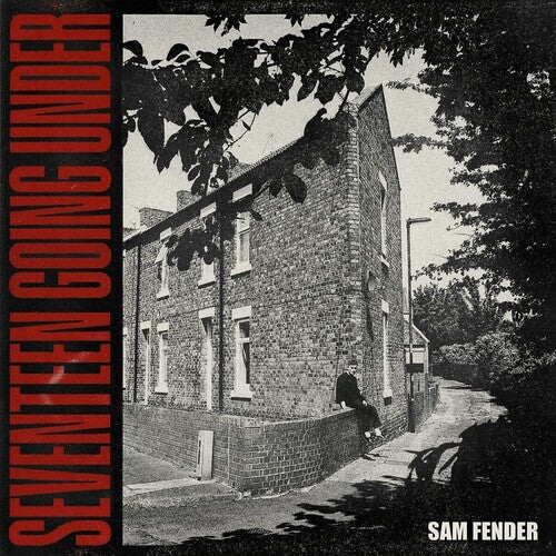 Sam Fender: Seventeen Going - VINYL