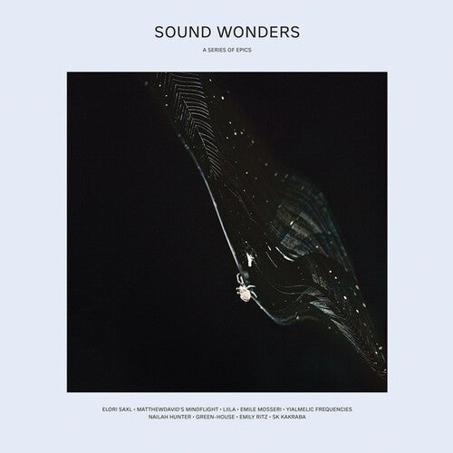 Various Artists: Sound Wonders (Various Artists) \ LP